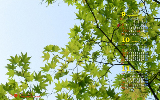 496704 (a): :1920x1200